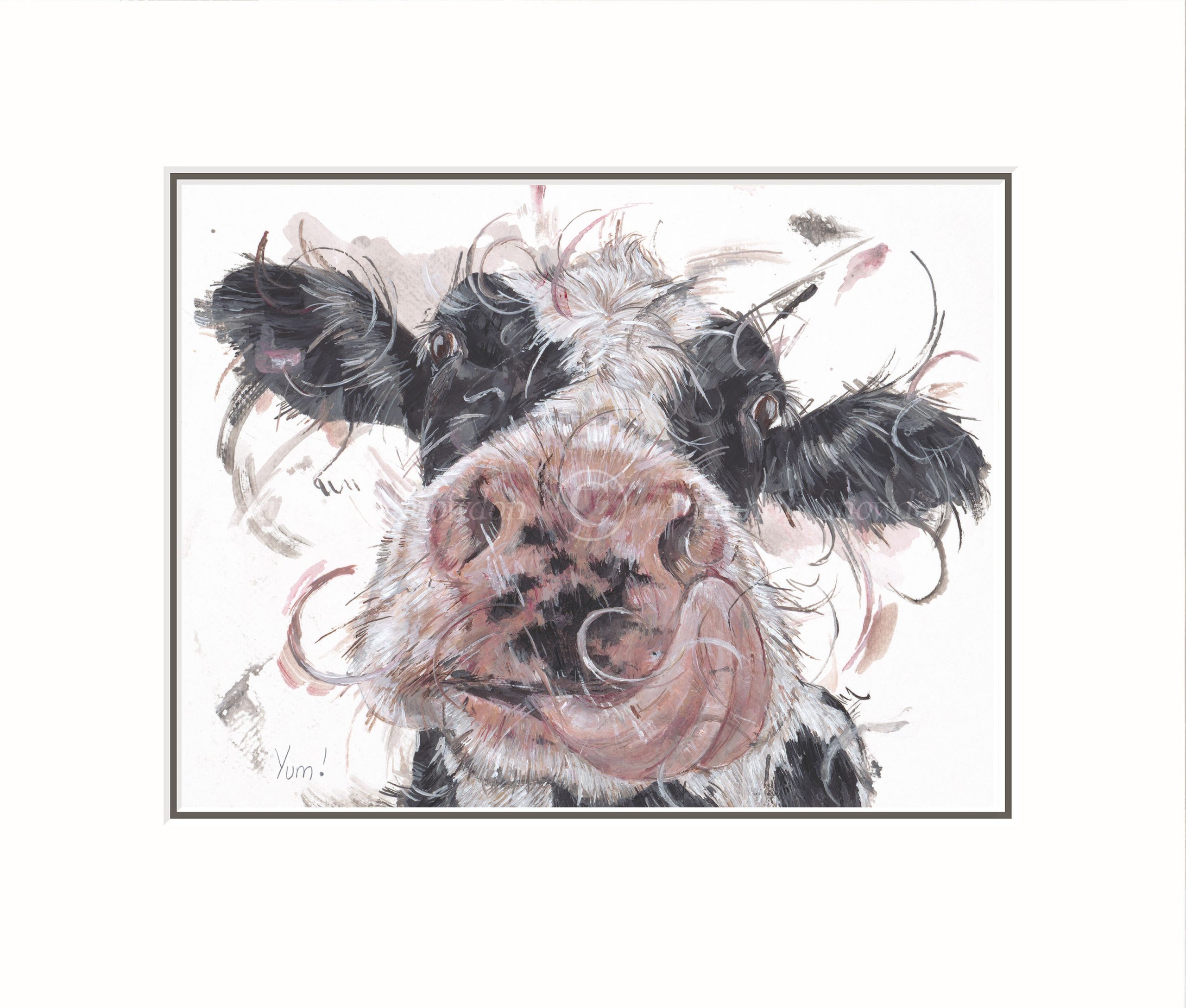 Fun cow licking their nose