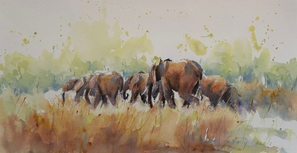 Watercolour of Elephants by Julia Cassels