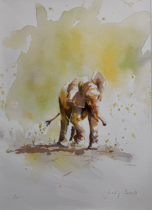 Elephant by Julia Cassels
