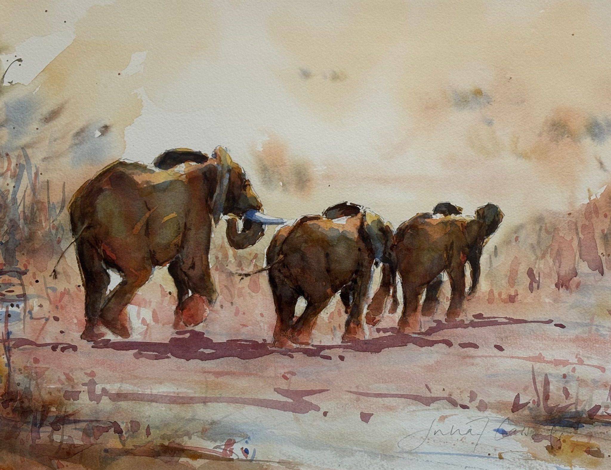 Watercolour of Elephants by Julia Cassels