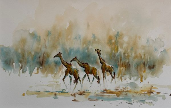 Watercolour of Elephants by Julia Cassels