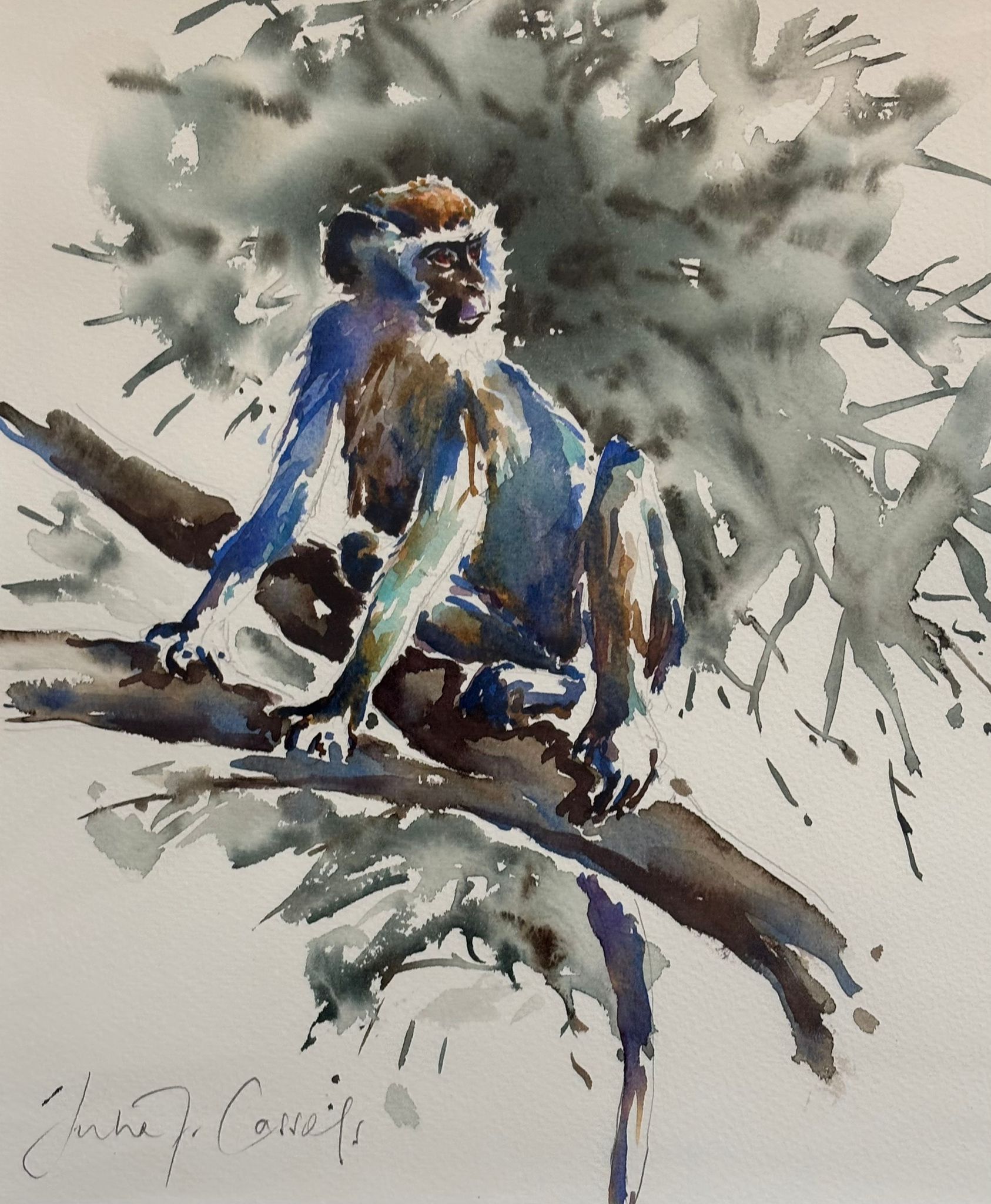 Watercolour Monkey Time by Julia Cassels