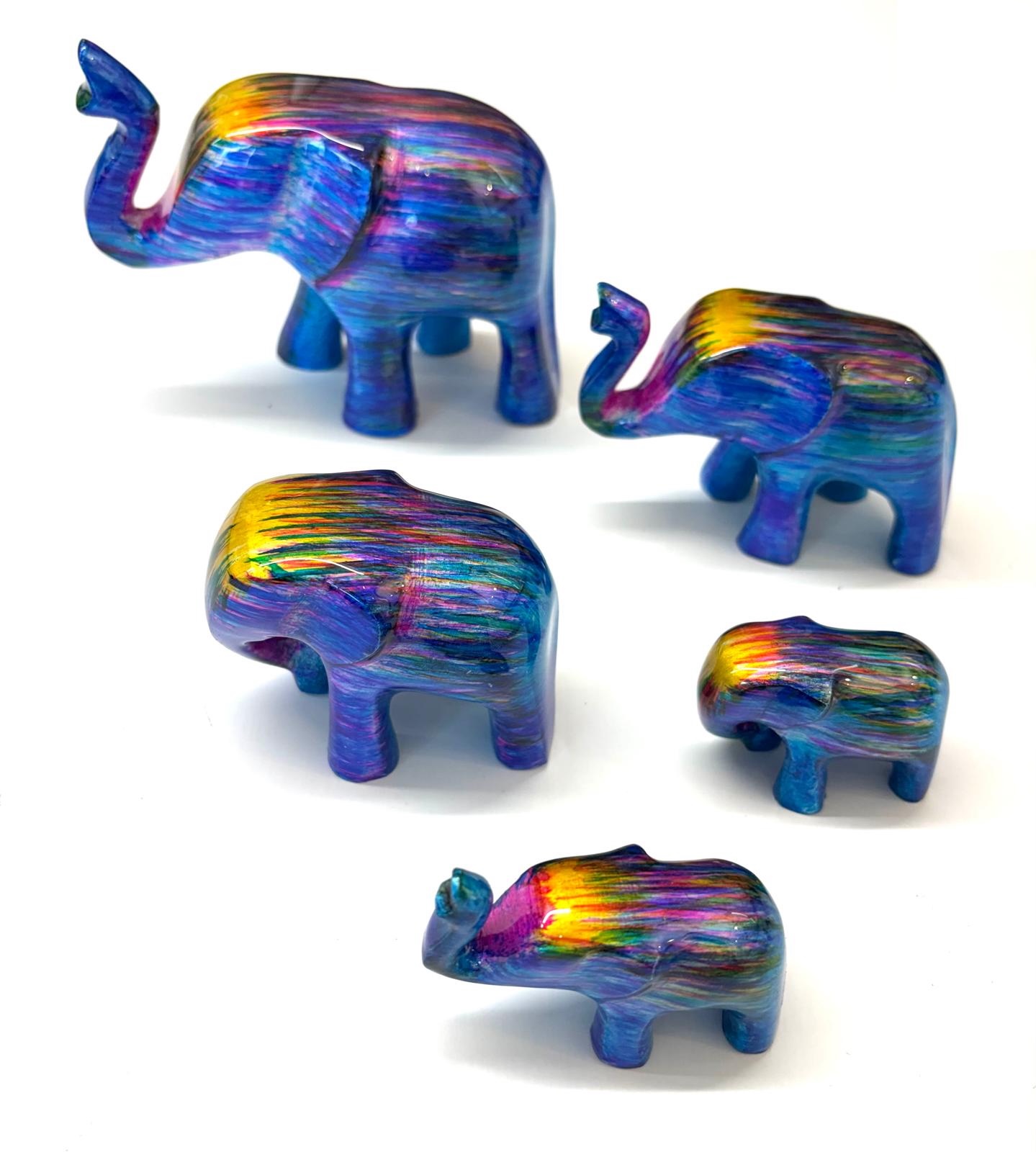Elephant Family rainbow
