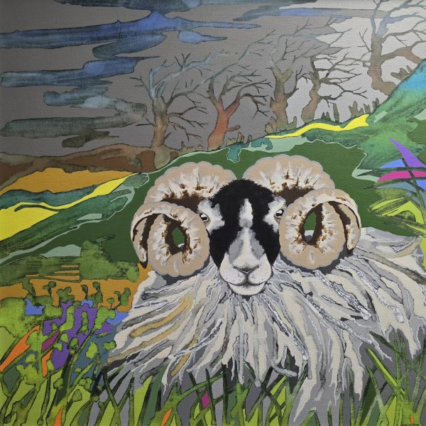 Swaledale Simon Pink