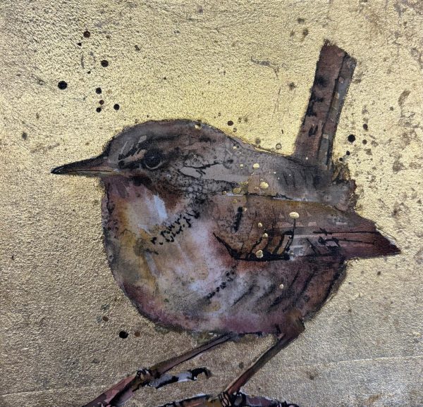 Golden Wren