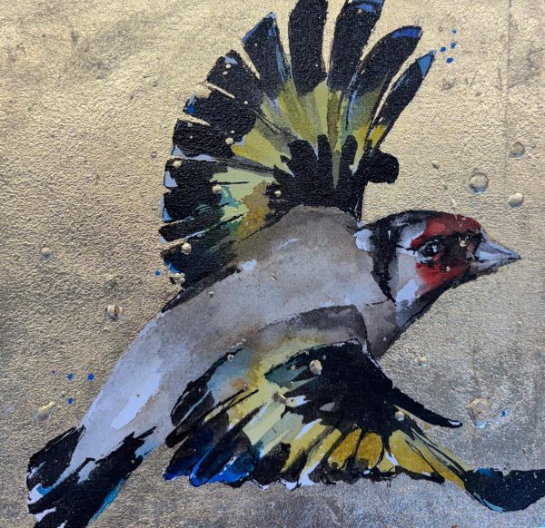 Goldfinch